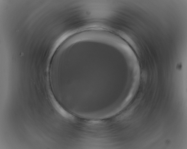 X0000092011482200709271519