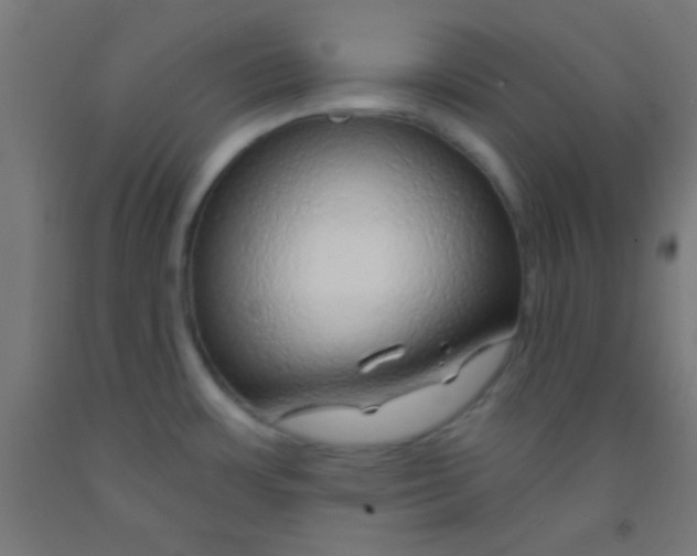 X0000092011483200709271519