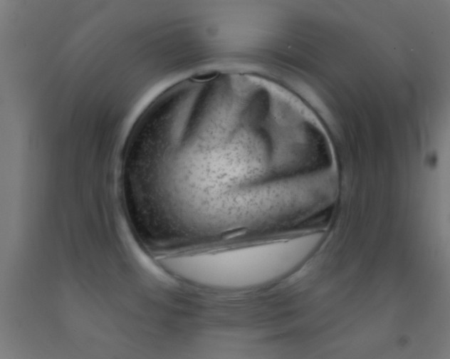 X0000092011484200709271519