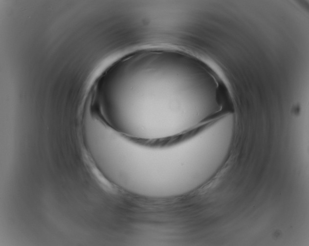 X0000092011485200709271519