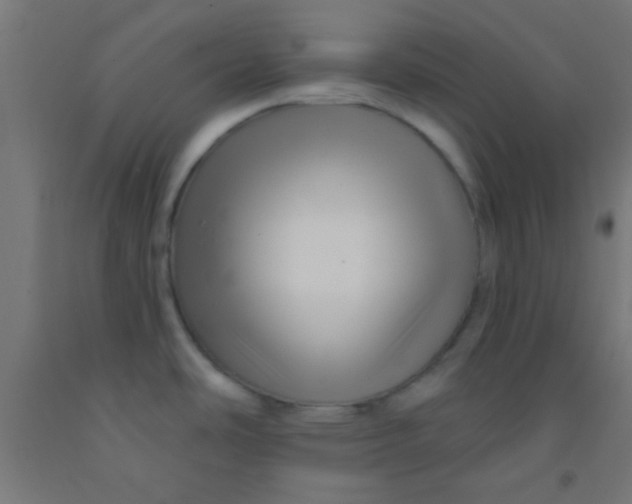 X0000092011486200709271519