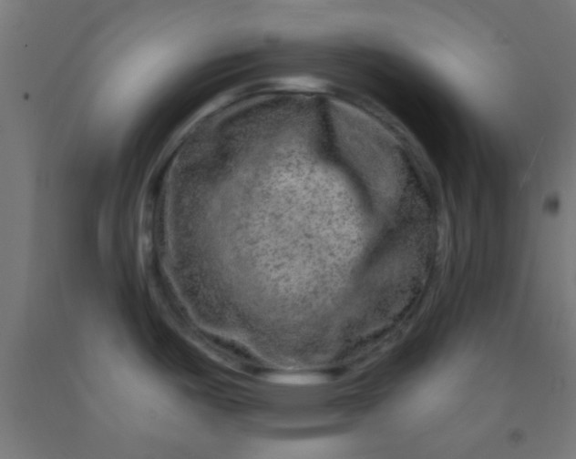 X0000092011487200709271519