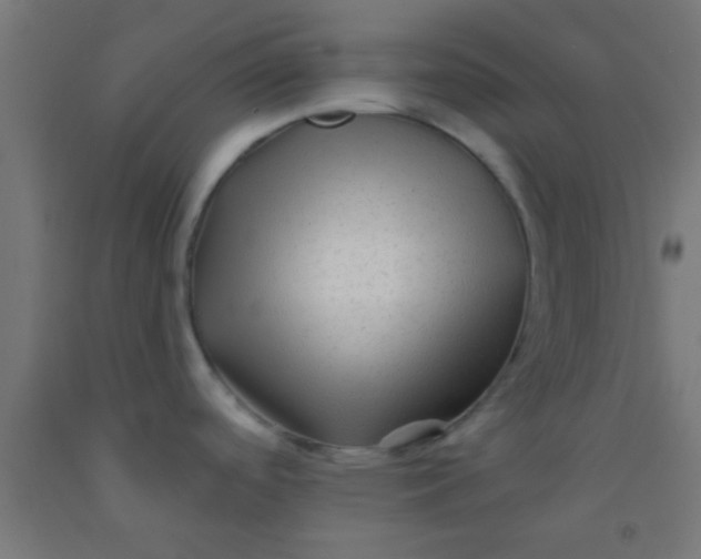 X0000092011488200709271519