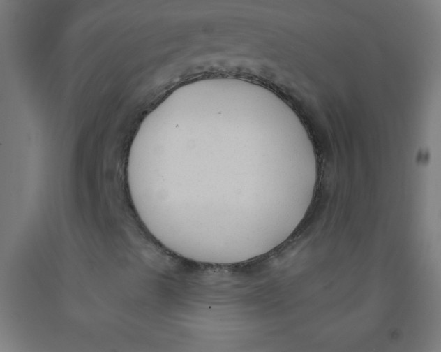 X0000092011489200709271518