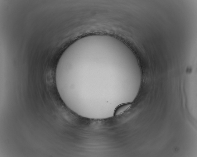 X0000092011490200709271518