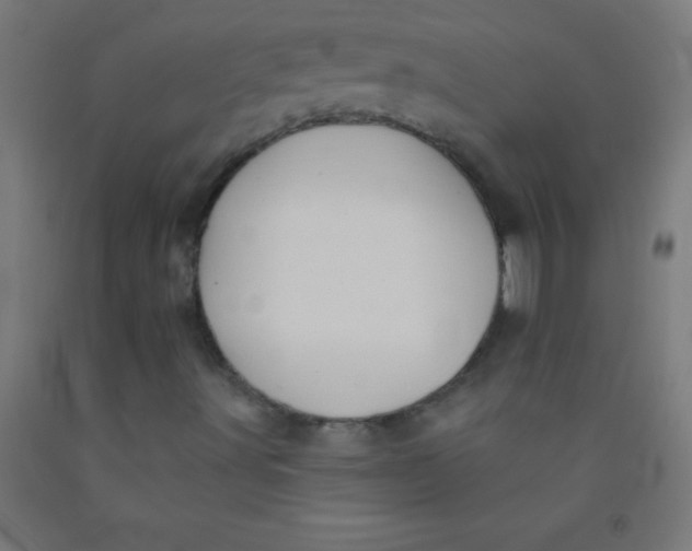 X0000092011491200709271518