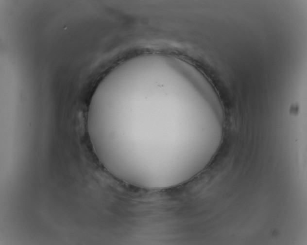 X0000092011493200709271518