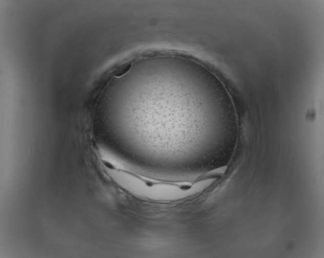 X0000092011494200709271518