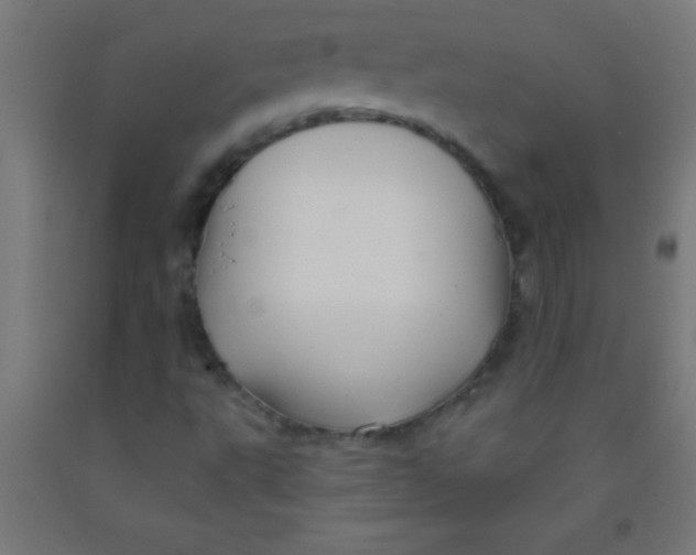 X0000092011495200709271518