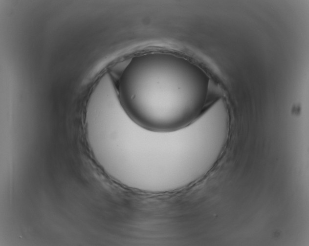 X0000092011496200709271518