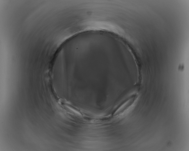 X0000092011497200709271518