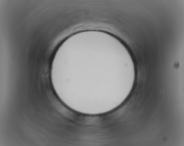 X0000092011498200709271518