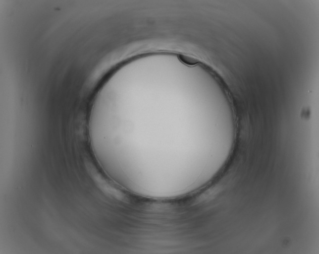 X0000092011499200709271518