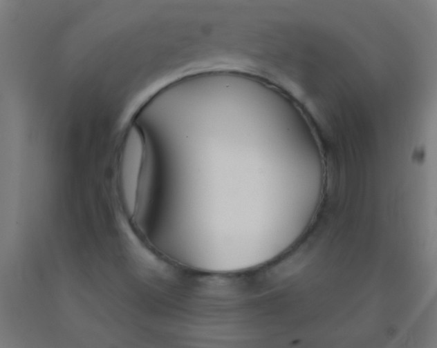 X0000092011500200709271518