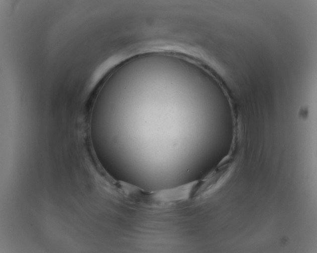 X0000092011501200709271518