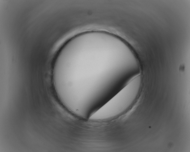 X0000092011502200709271518