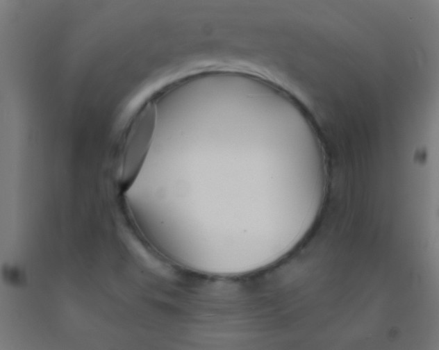 X0000092011503200709271518