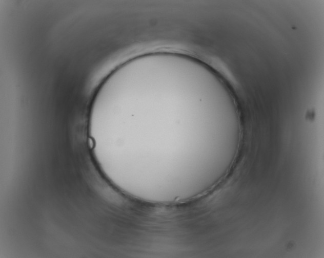 X0000092011504200709271518