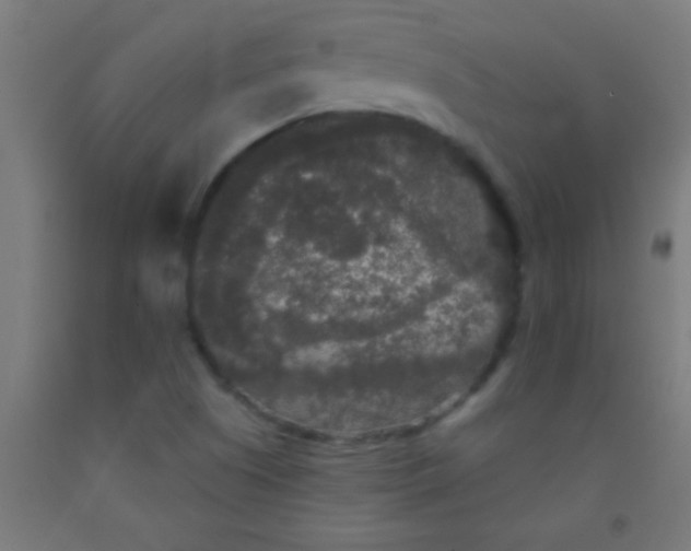 X0000092011505200709271518