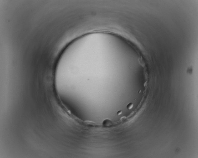 X0000092011506200709271518