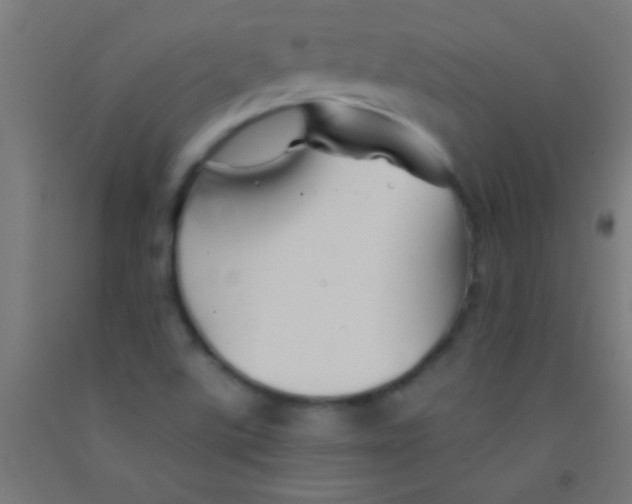 X0000092011507200709271518