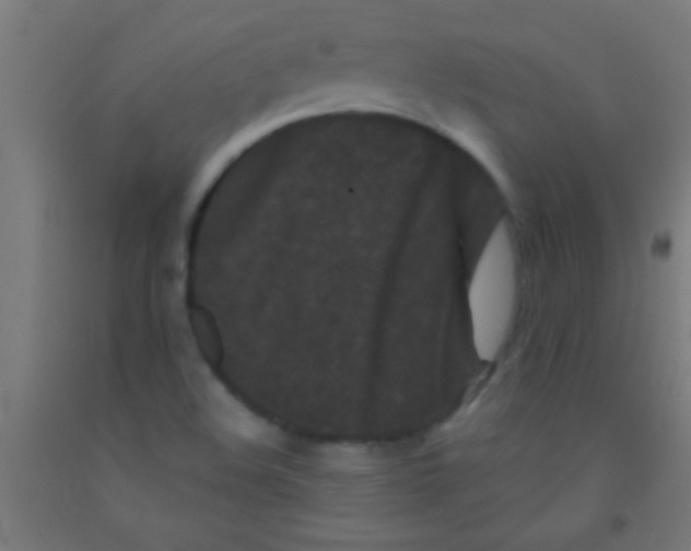 X0000092011508200709271518