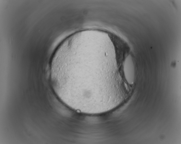 X0000092011509200709271518