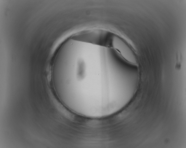 X0000092011510200709271518