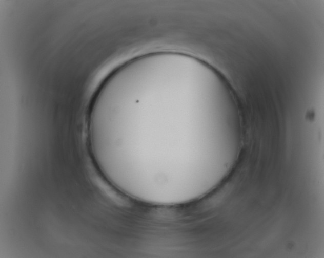 X0000092011511200709271518