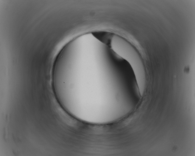 X0000092011512200709271518