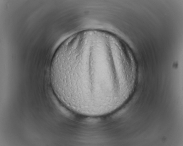 X0000092011513200709271518