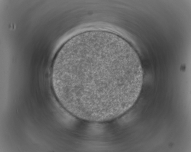 X0000092011514200709271518