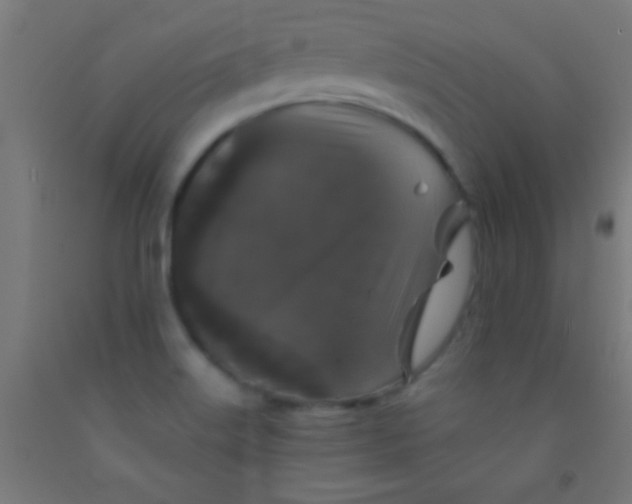 X0000092011515200709271518