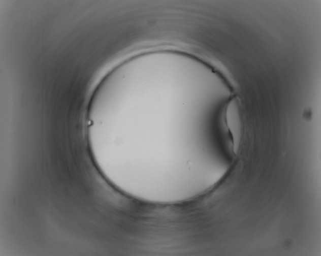 X0000092011516200709271518