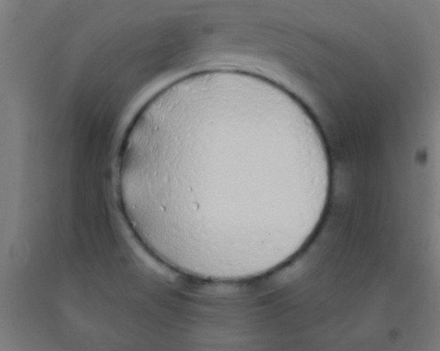 X0000092011517200709271518