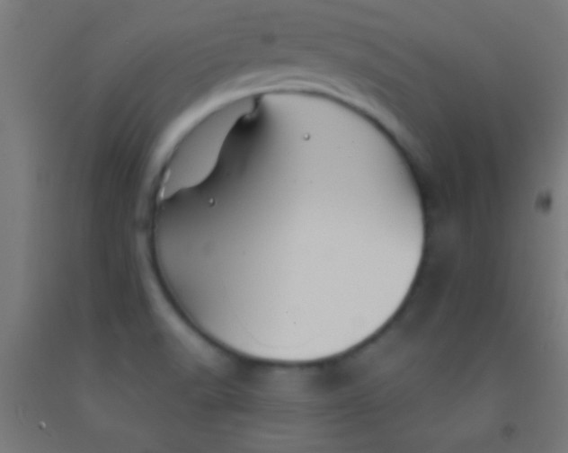 X0000092011518200709271518