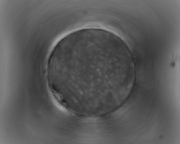 X0000092011519200709271518