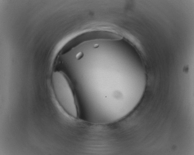 X0000092011520200709271518