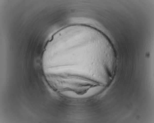 X0000092011521200709271518