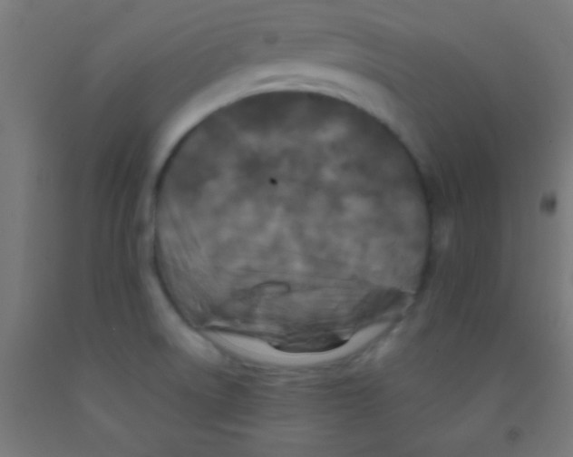 X0000092011522200709271518