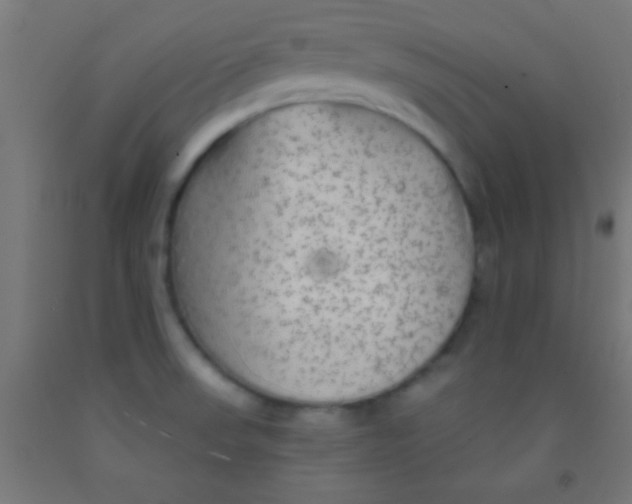 X0000092011523200709271518