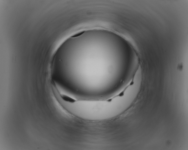 X0000092011524200709271518