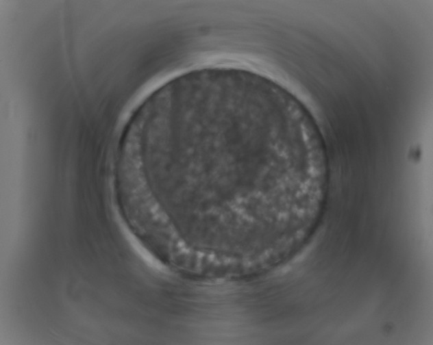 X0000092011525200709271518