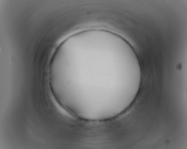 X0000092011526200709271519