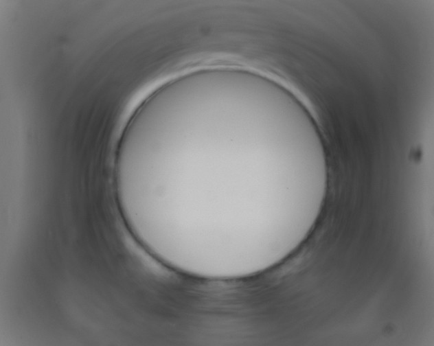 X0000092011527200709271519