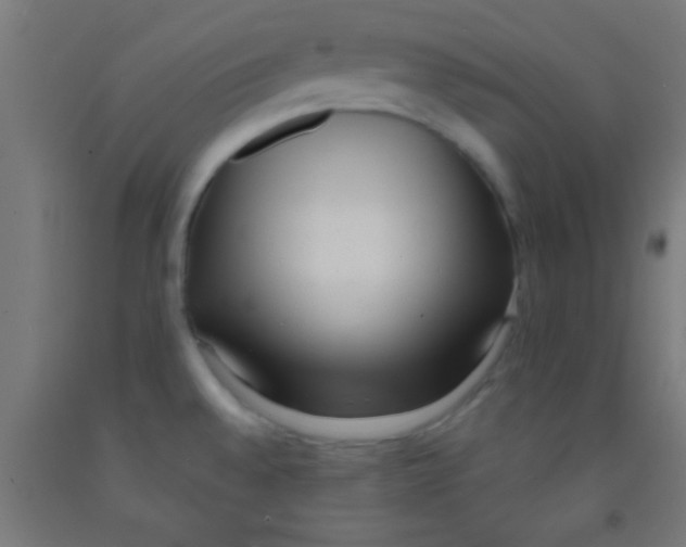 X0000092011528200709271519