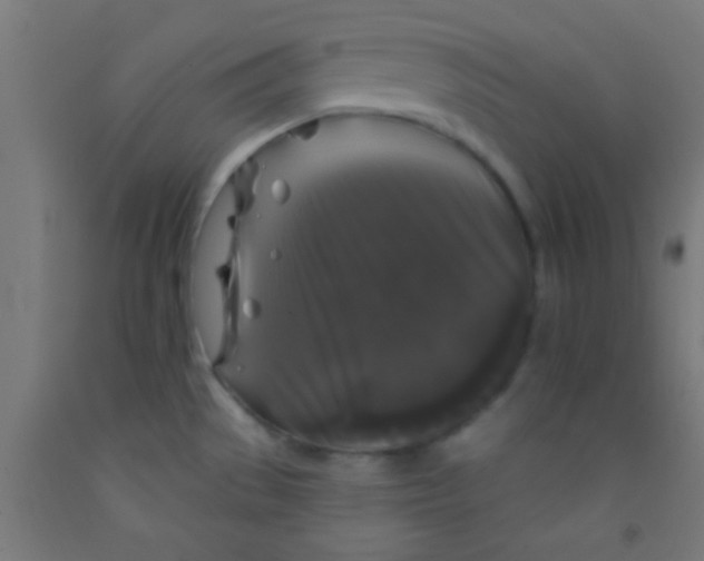 X0000092011529200709271519