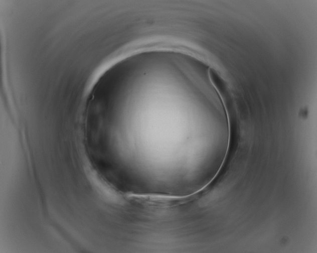 X0000092011530200709271519