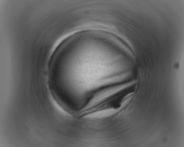 X0000092011531200709271519