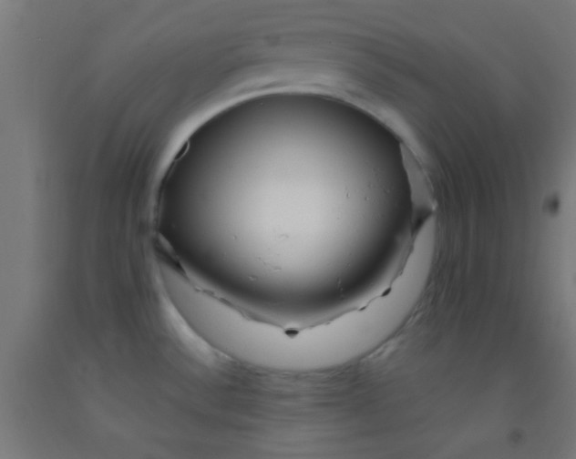 X0000092011532200709271519